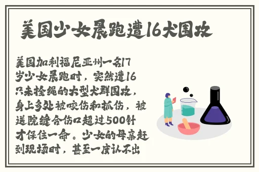 逃脱孕妇精灵与森之馆游戏4预告片